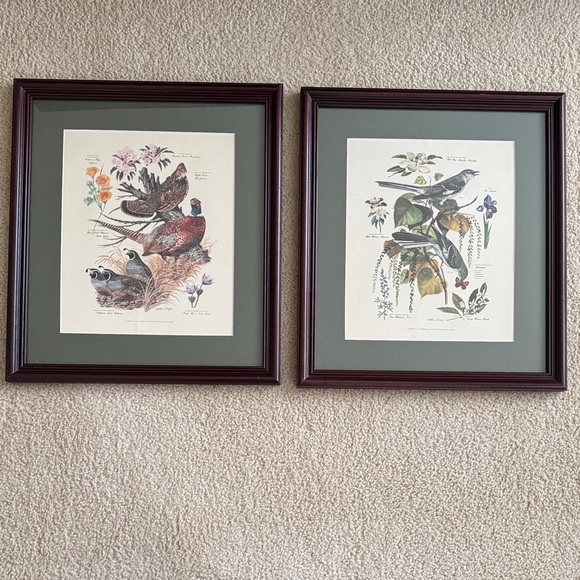 Arthur Singer Vintage Framed Bird Art Prints Set